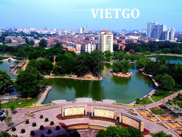 gỗ vụn